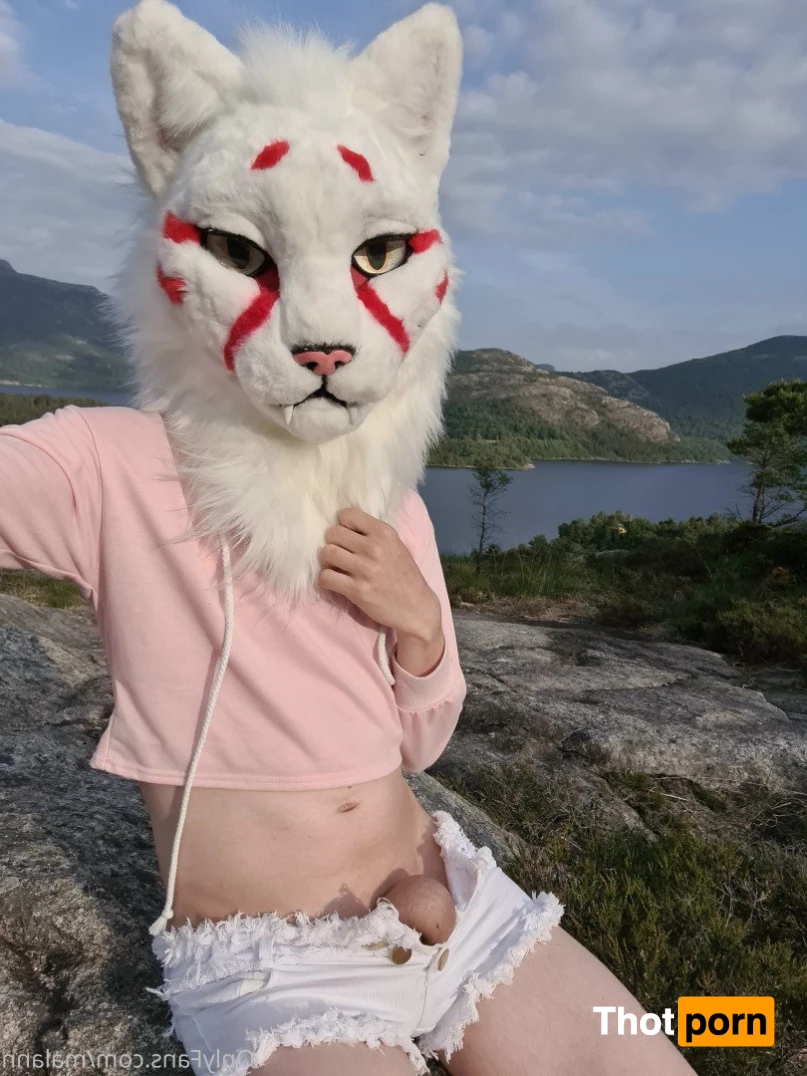 Malann the 🍑 kitty 3079763