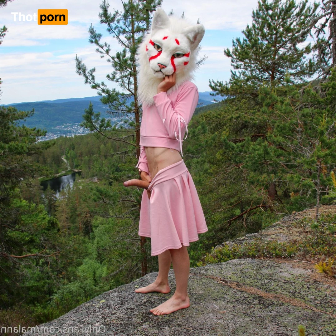 Malann the 🍑 kitty 3079780