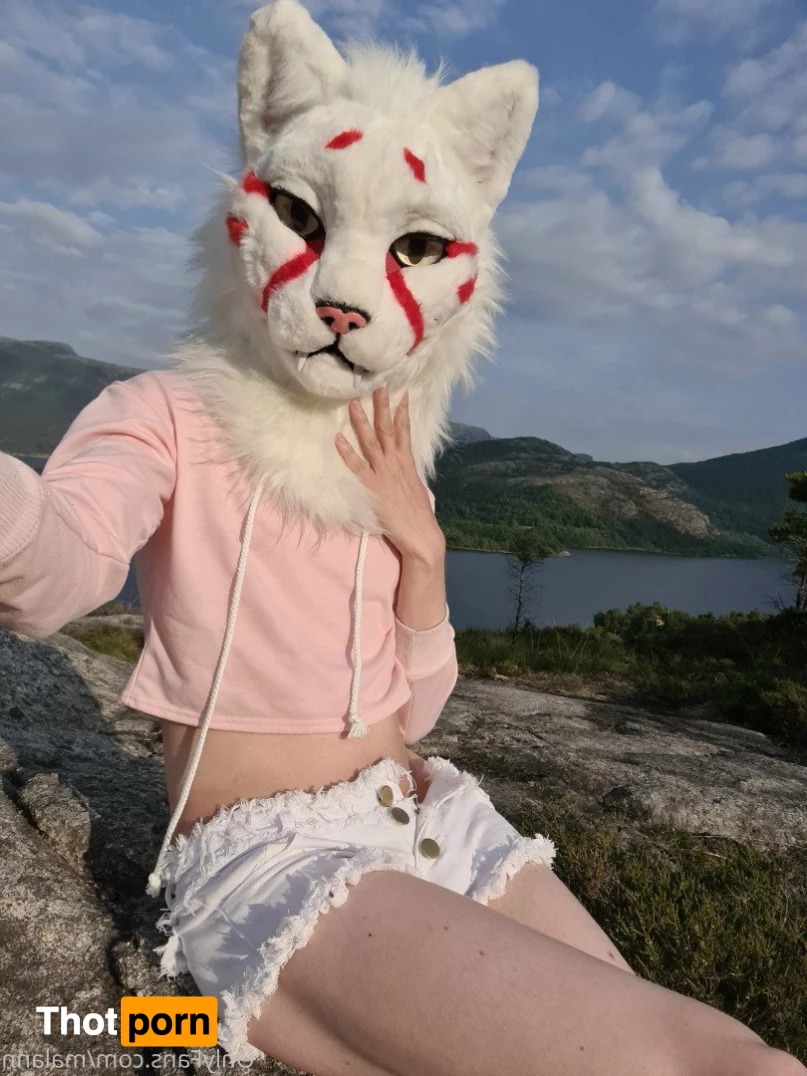 Malann the 🍑 kitty 3079812