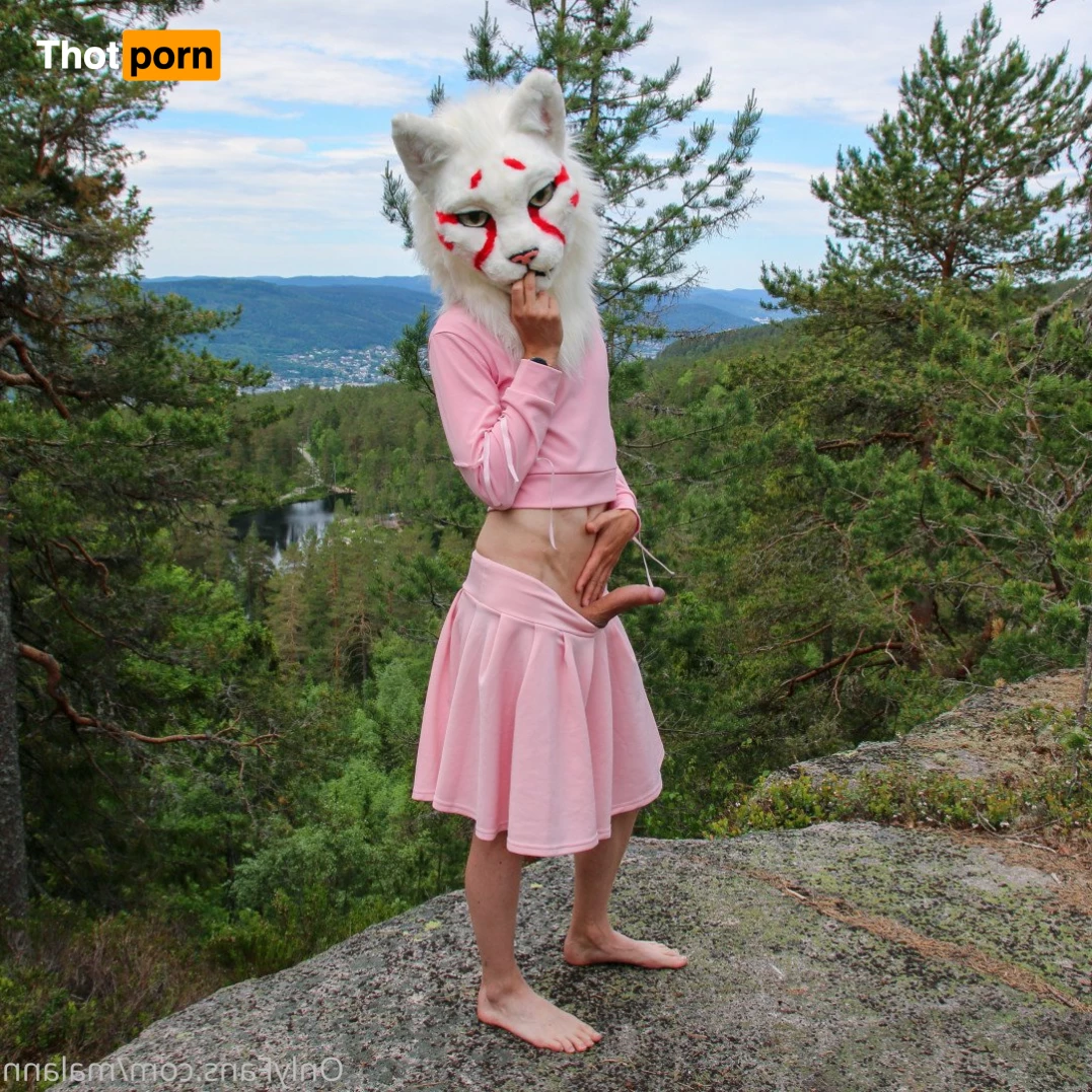 Malann the 🍑 kitty 3079840