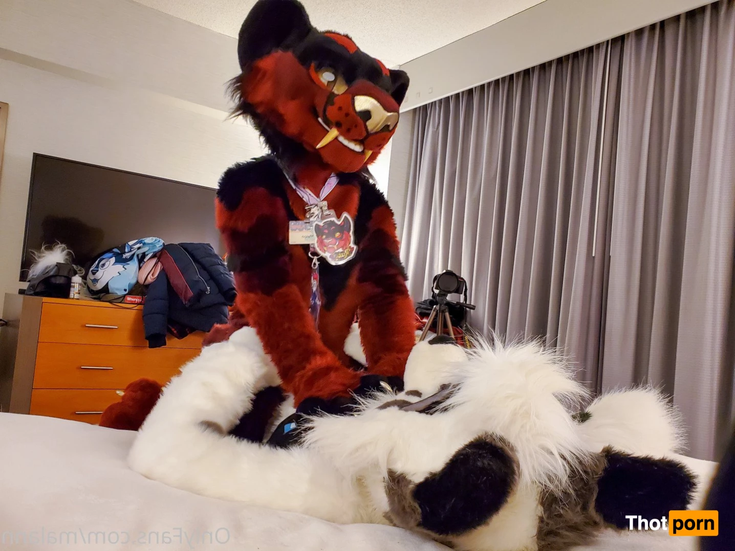 Malann the 🍑 kitty 3079889