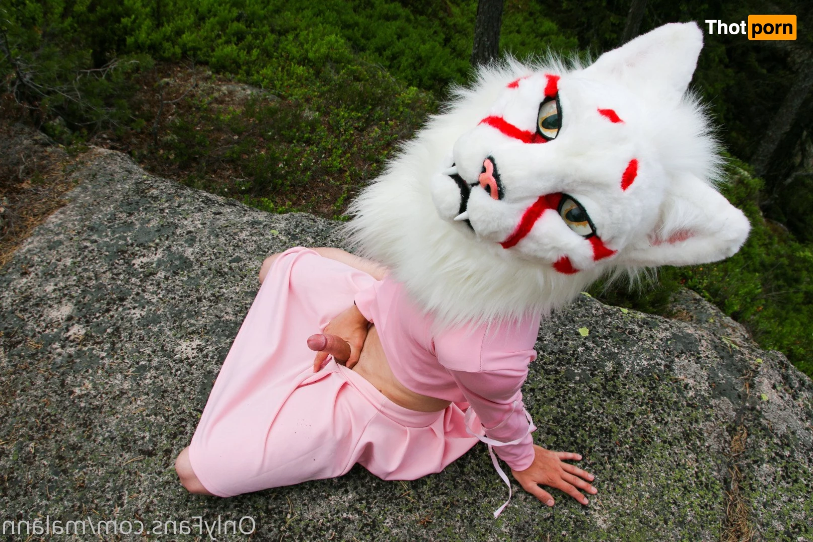 Malann the 🍑 kitty 3079919