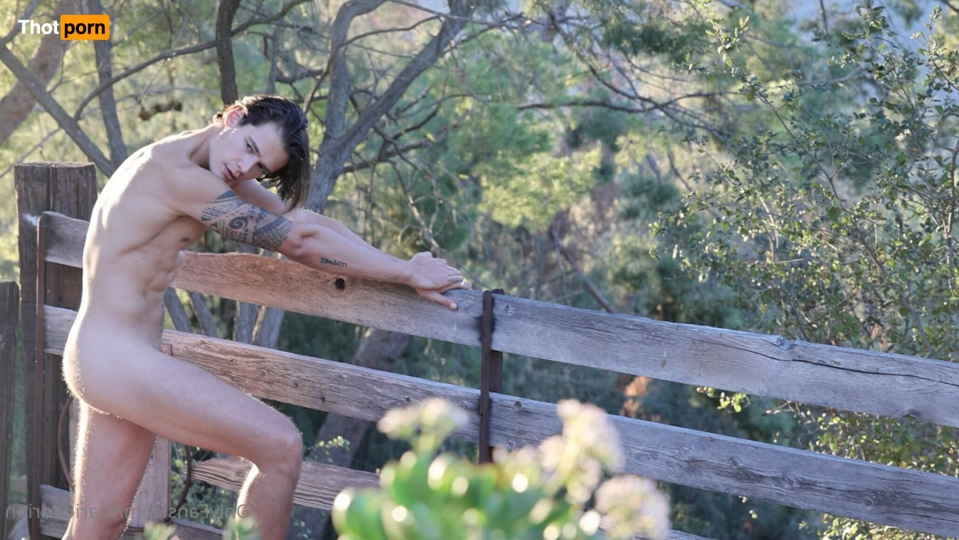 Mario Adrion 2938342