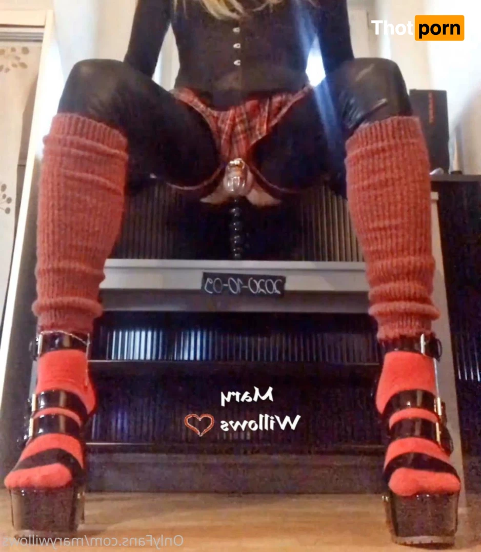 Mary Willows 6245638