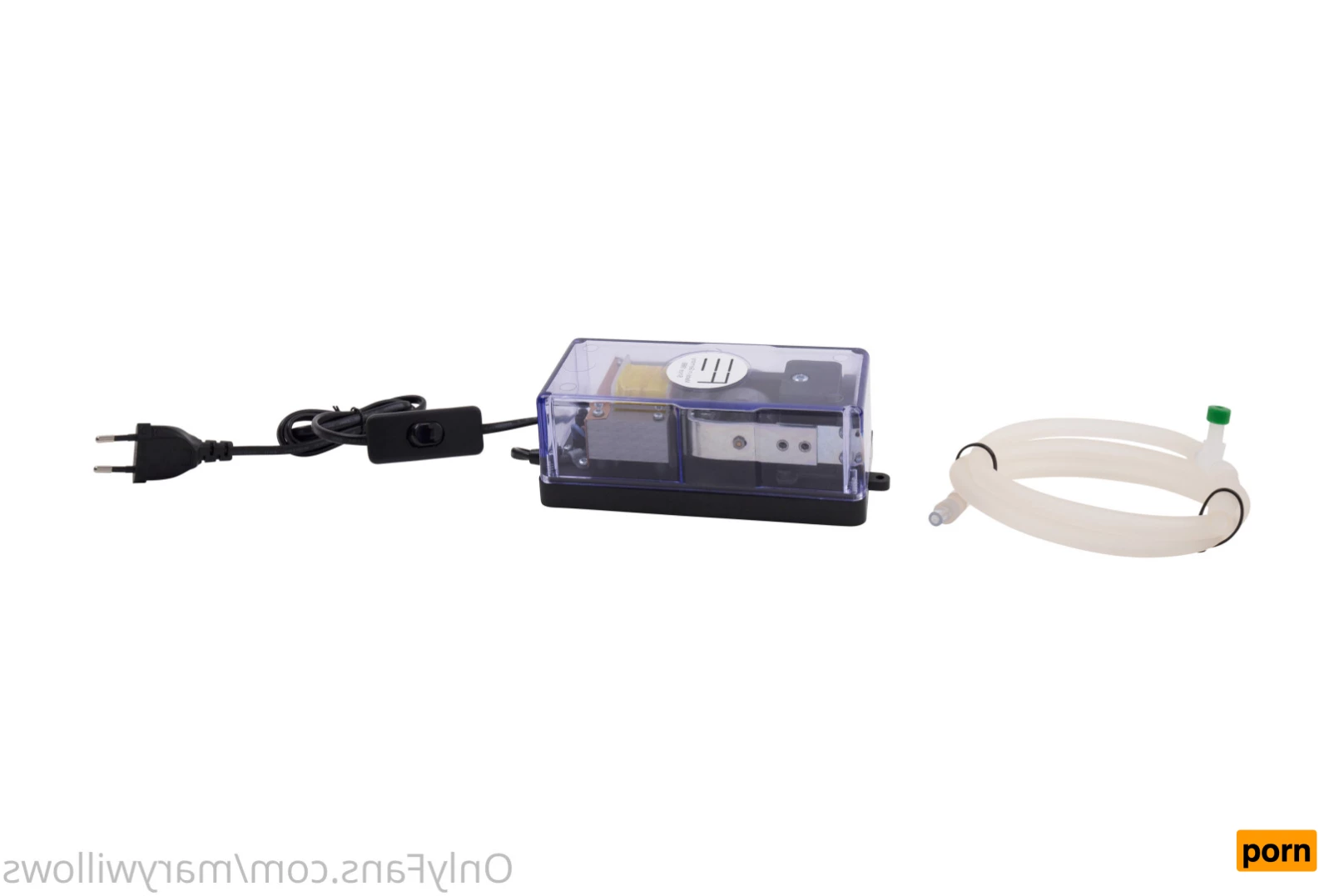 Mary Willows 6245656