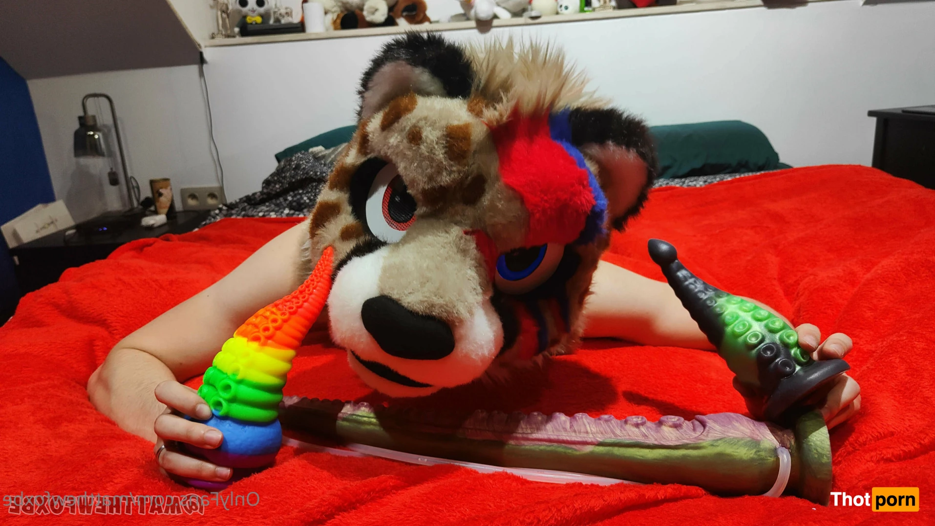 Matthew The Fox 14626239