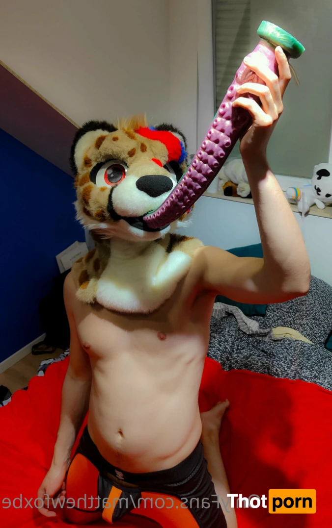 Matthew The Fox 14626425