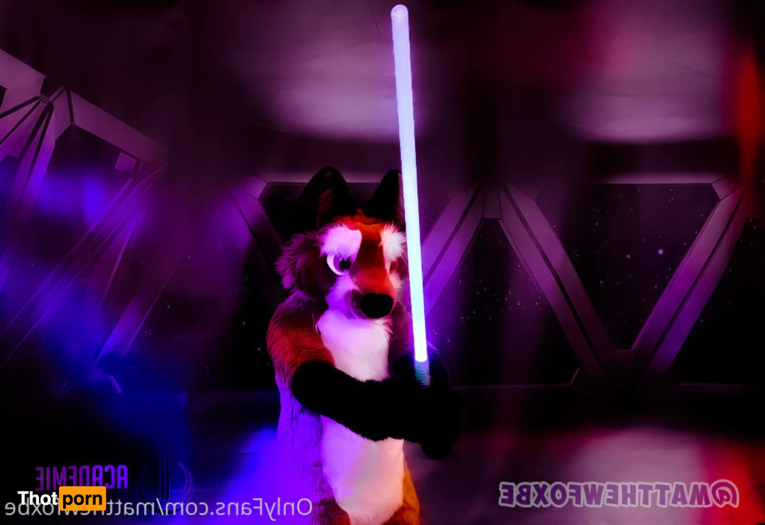 Matthew The Fox 14626555