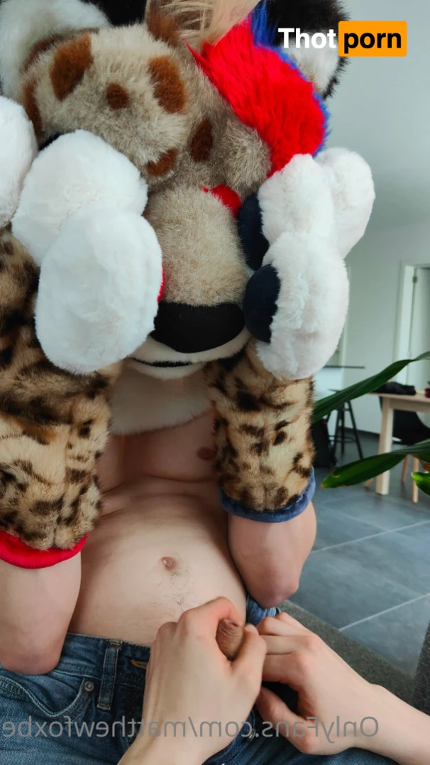 Matthew The Fox 14626638