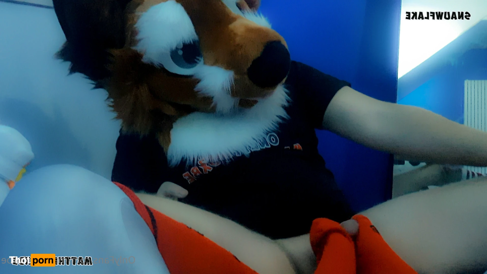 Matthew The Fox 14626731