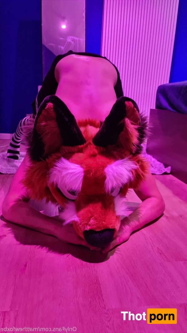 Matthew The Fox 14626743