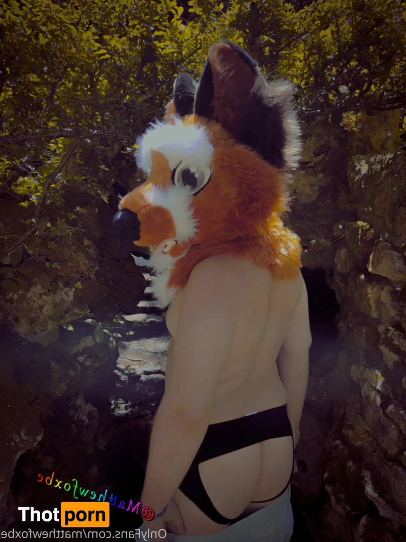 Matthew The Fox 14626968