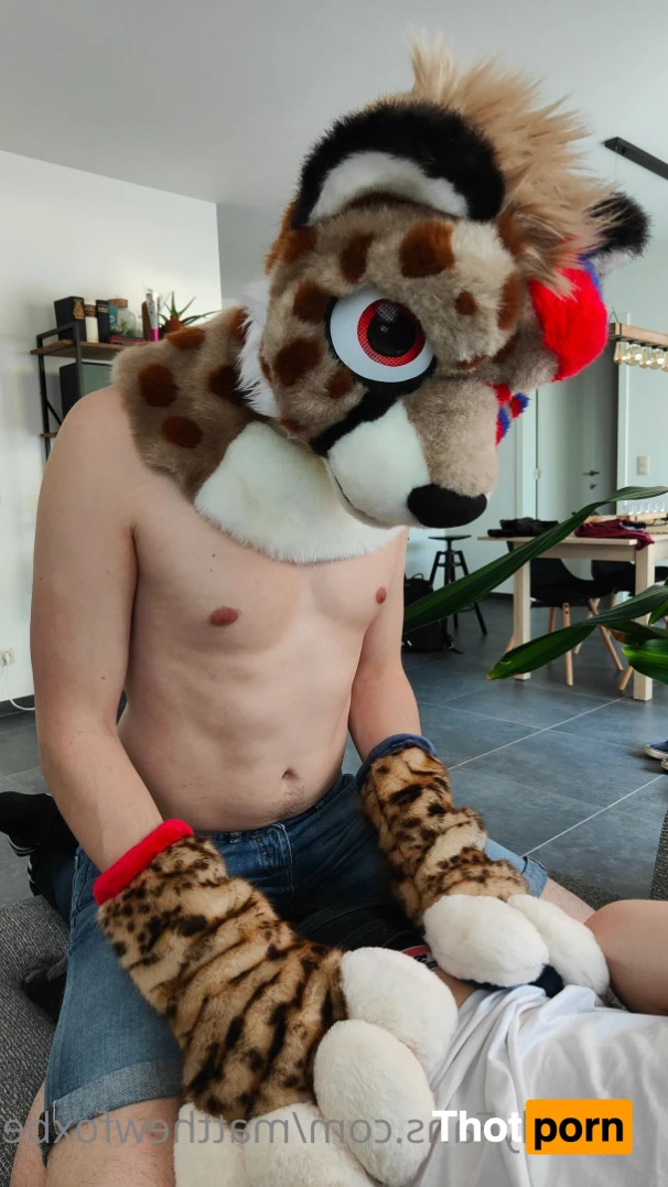 Matthew The Fox 14627062