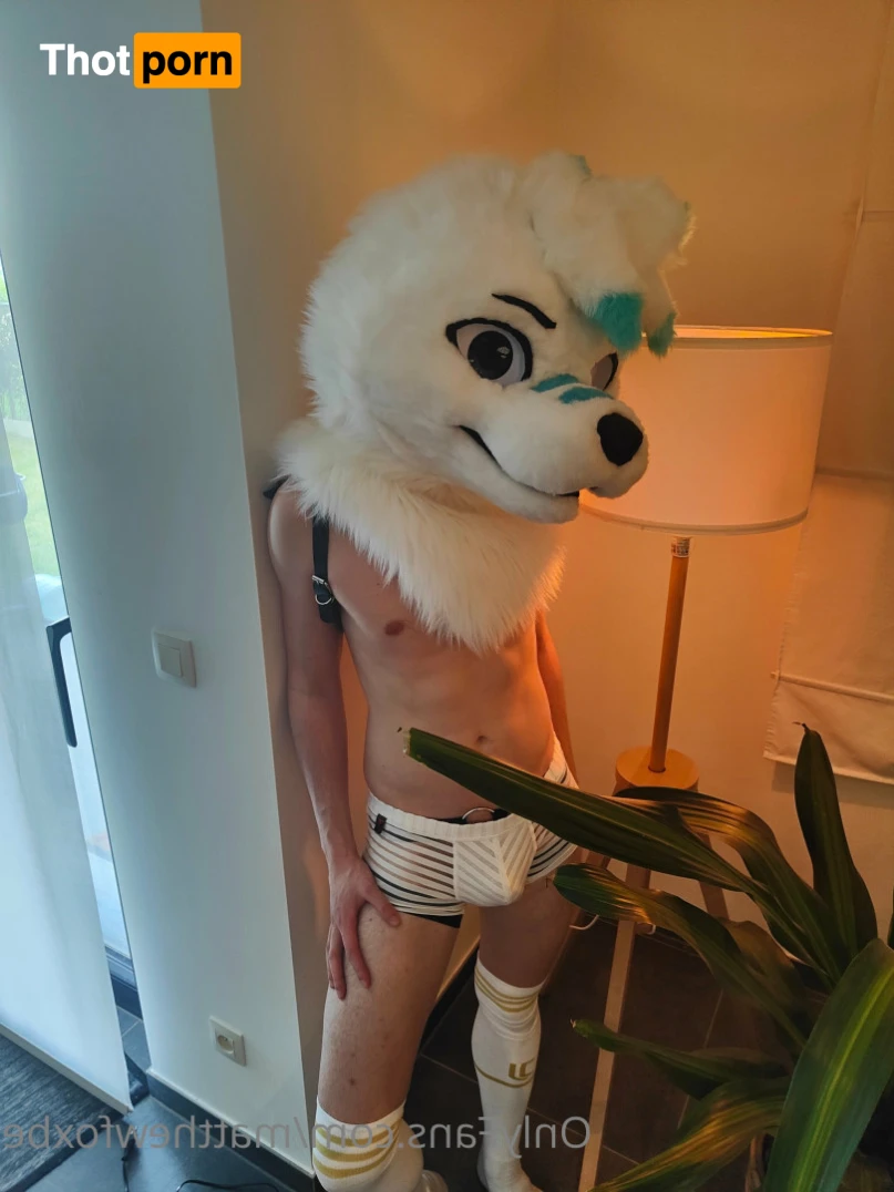 Matthew The Fox 14627129