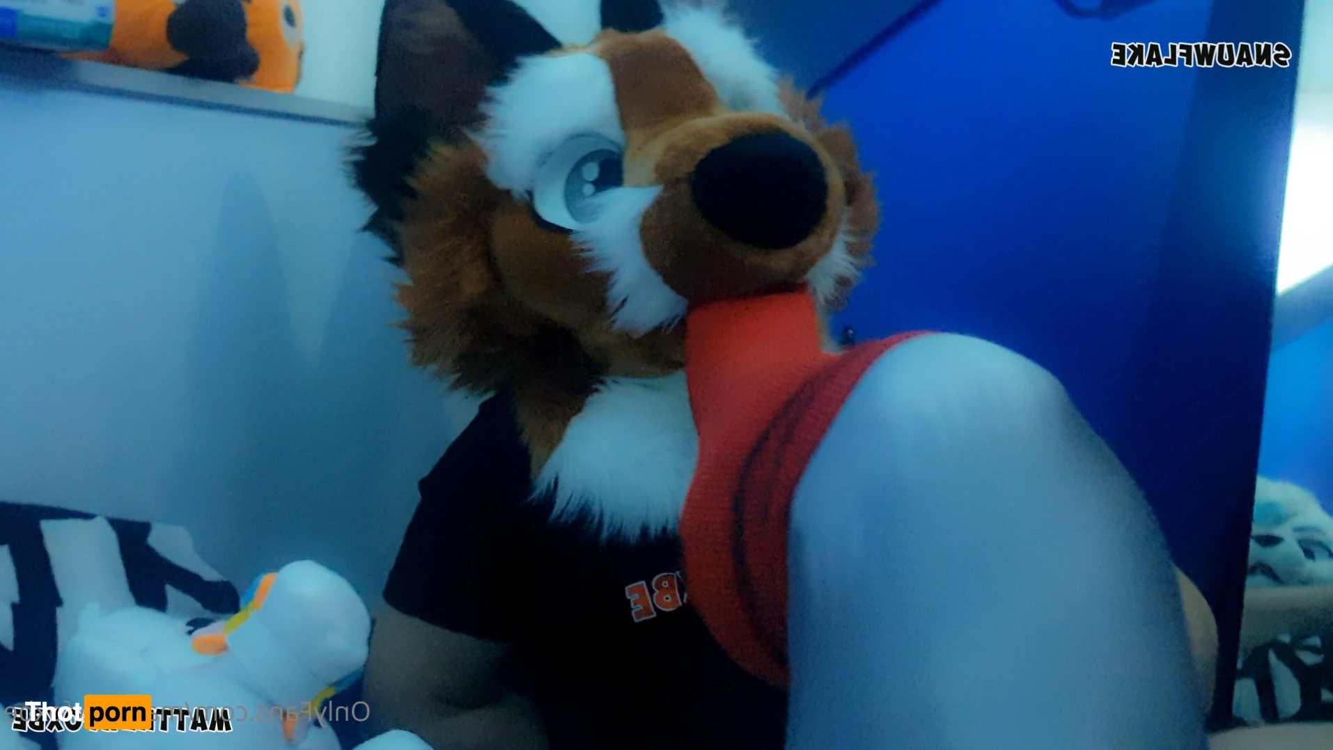 Matthew The Fox 14627230