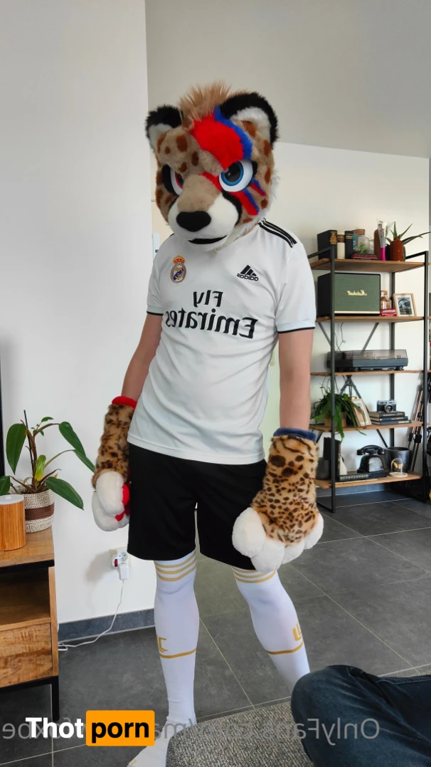 Matthew The Fox 14627513