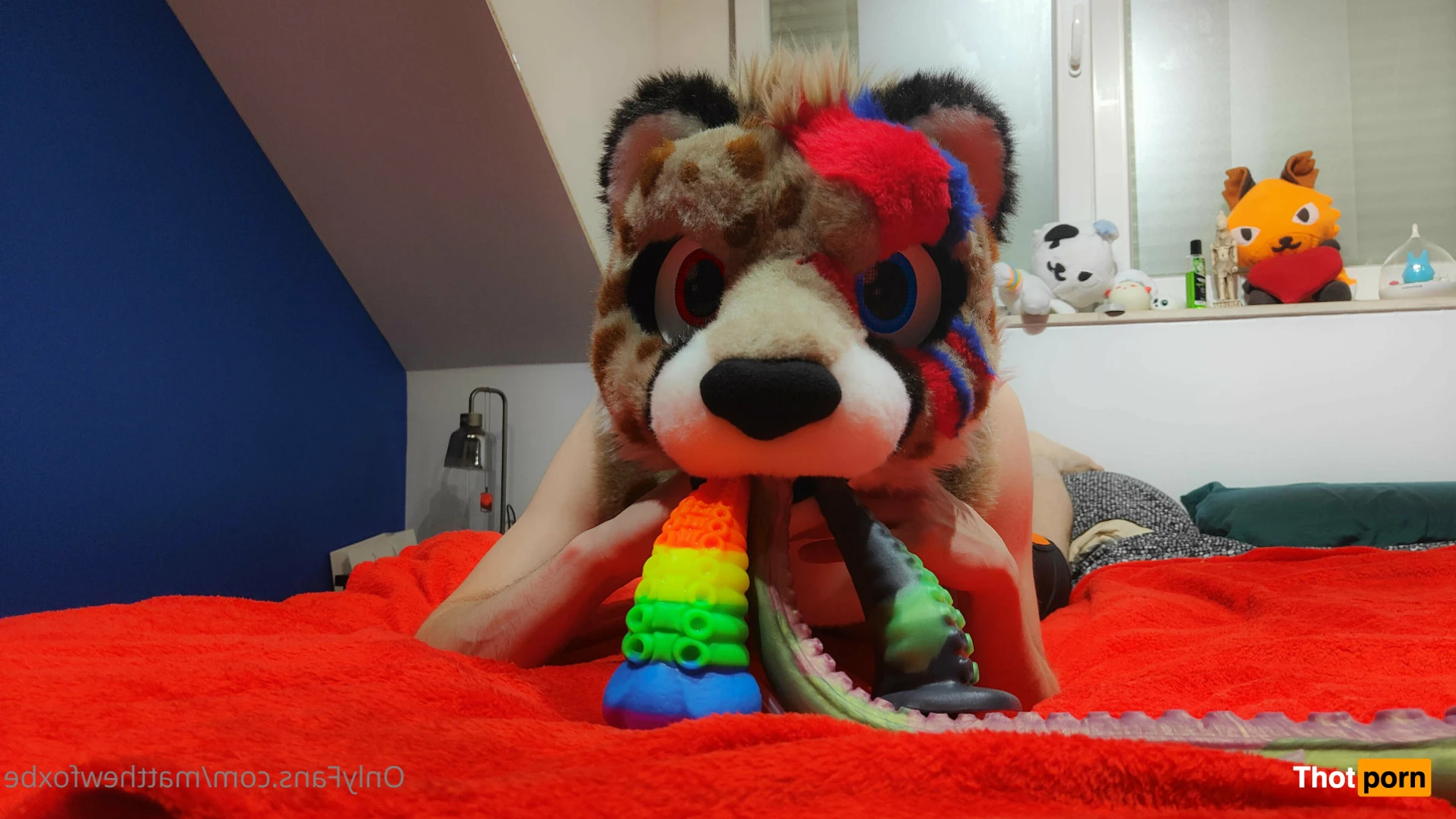 Matthew The Fox 14627875