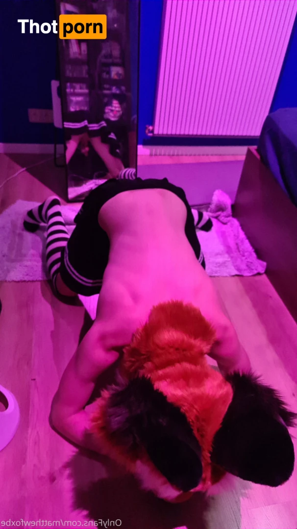 Matthew The Fox 14627901