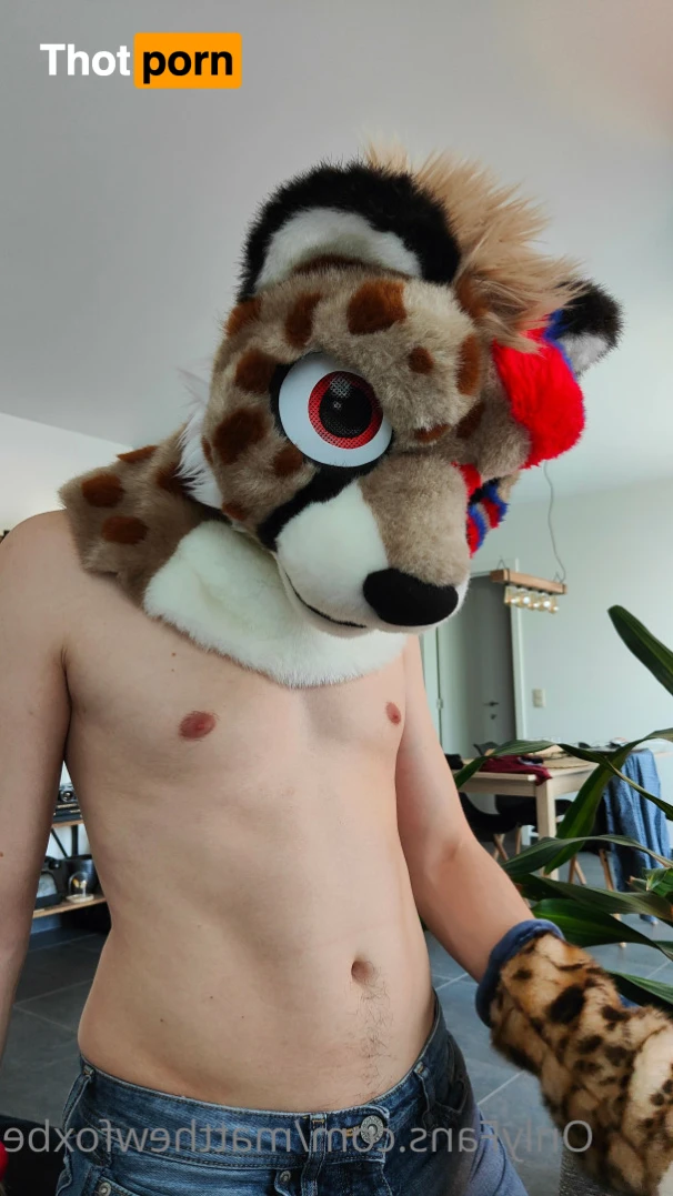 Matthew The Fox 14628016