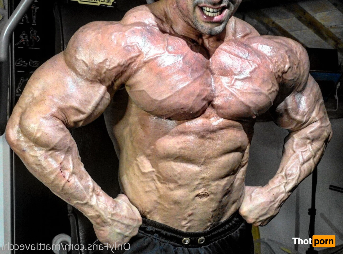 Mattia Vecchi 3105965