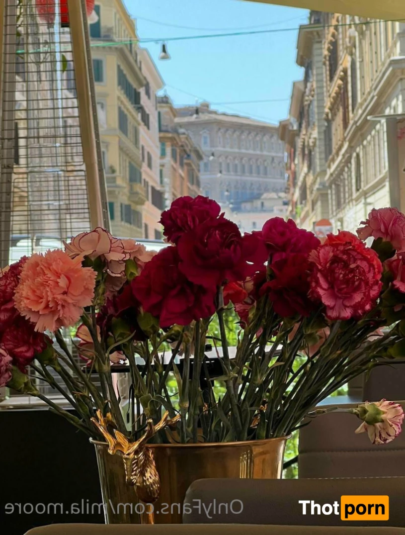 🇺🇦 Mila Moore ❤️‍🔥 14478355