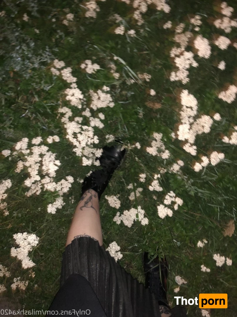 Mia 🧝🏻‍♀️ 2980159