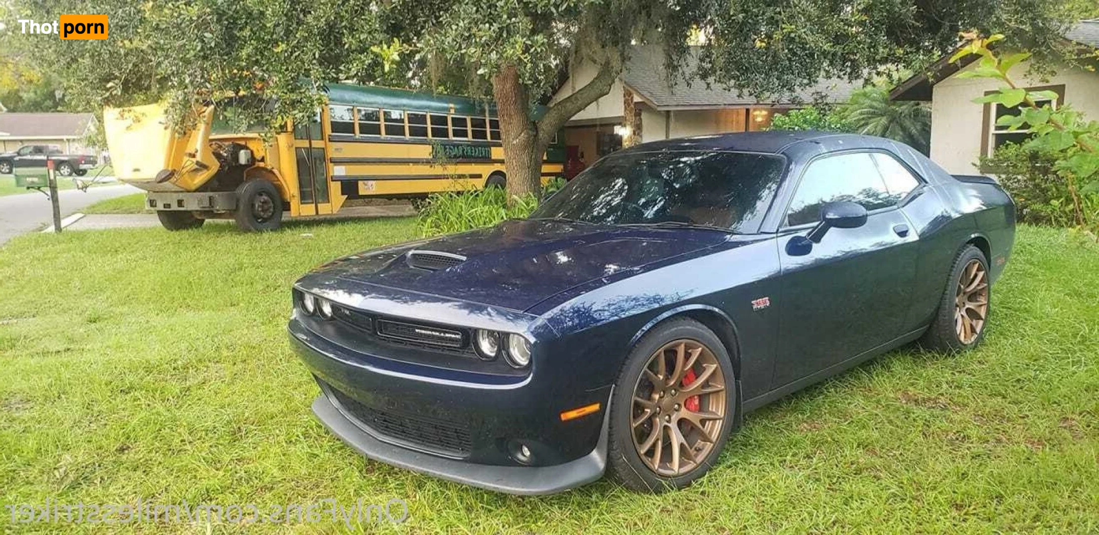 Miles Striker 2925914