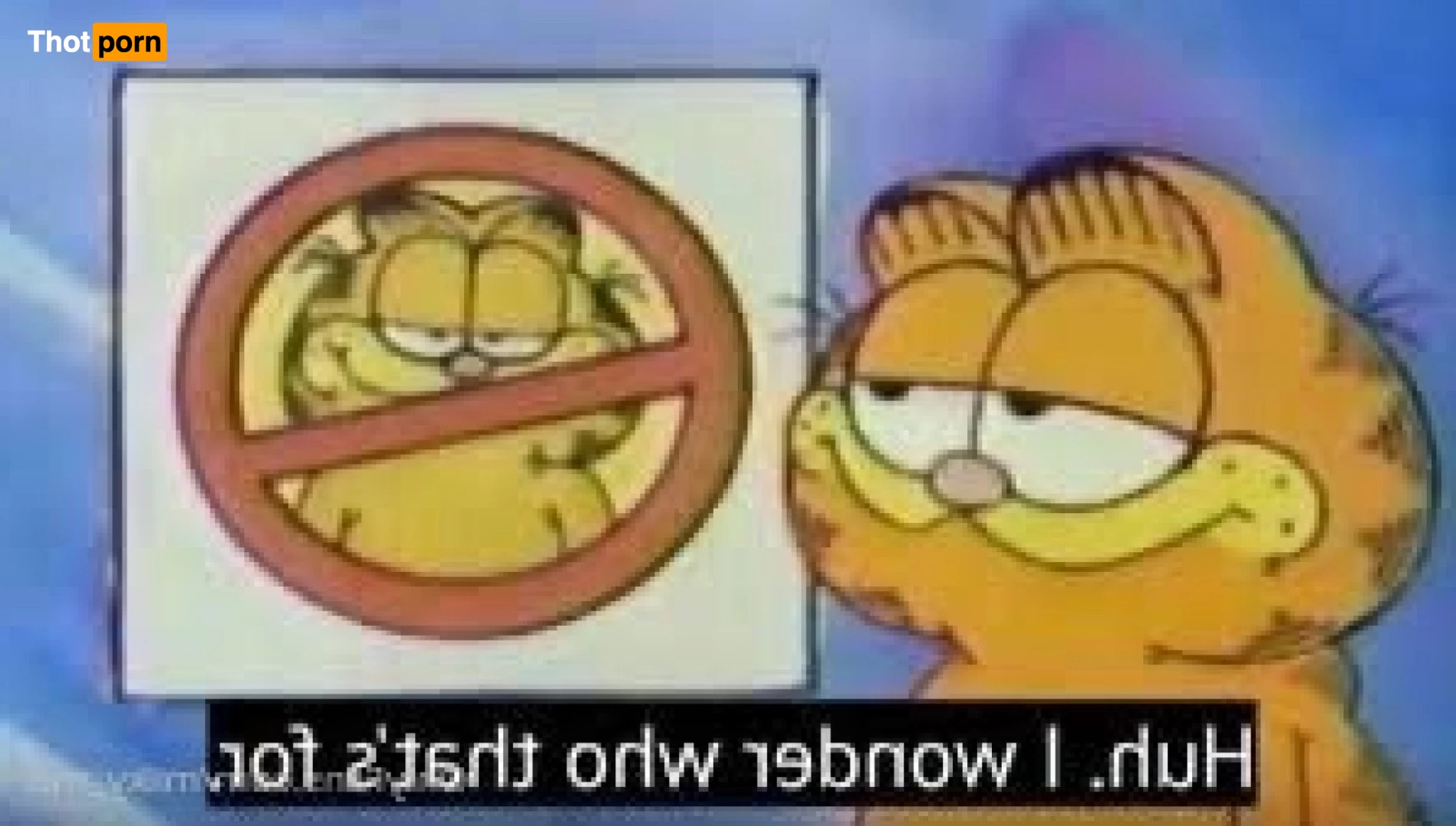 ☆.* Kimii *.☆ 3067064