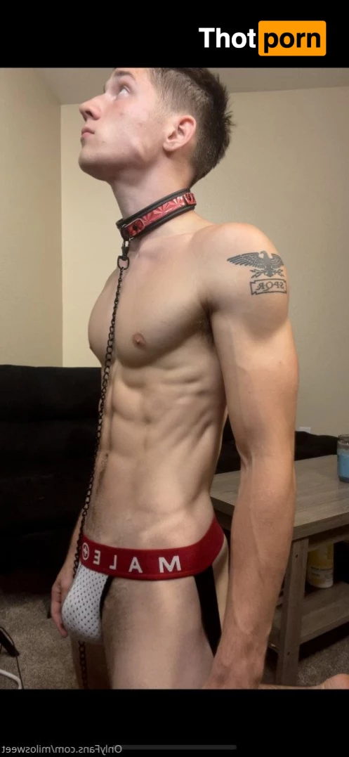 Milo Sweet Tooth 3013484