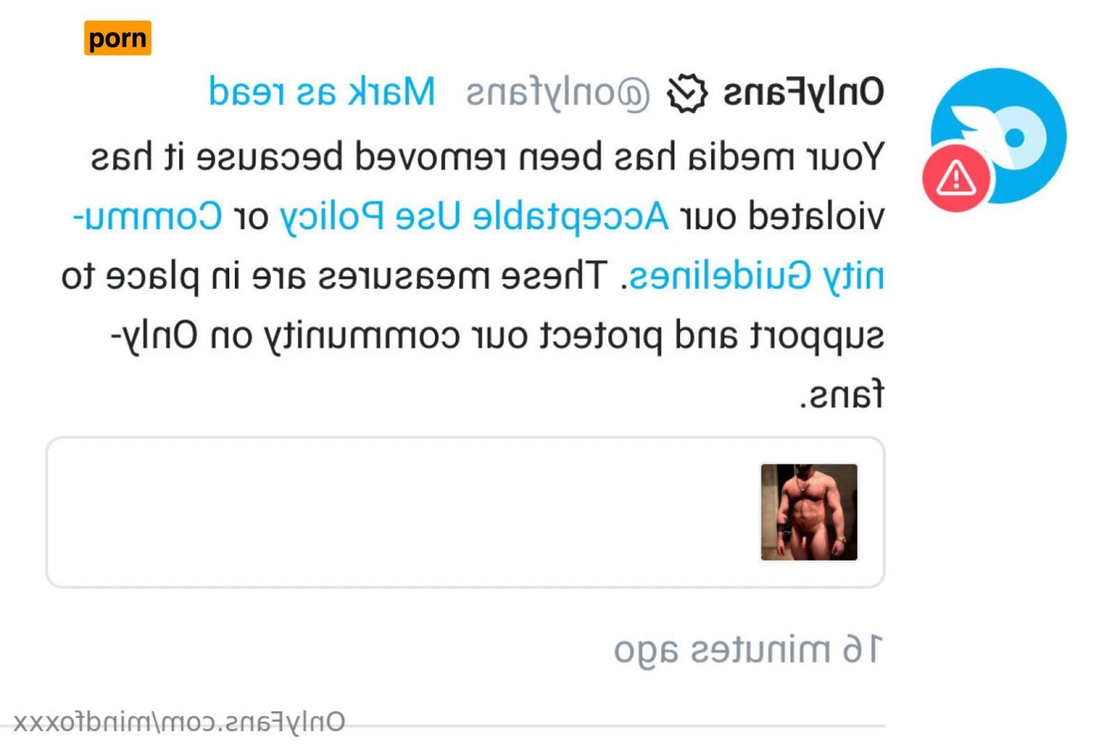 MindFoxxx Muscle 14140791