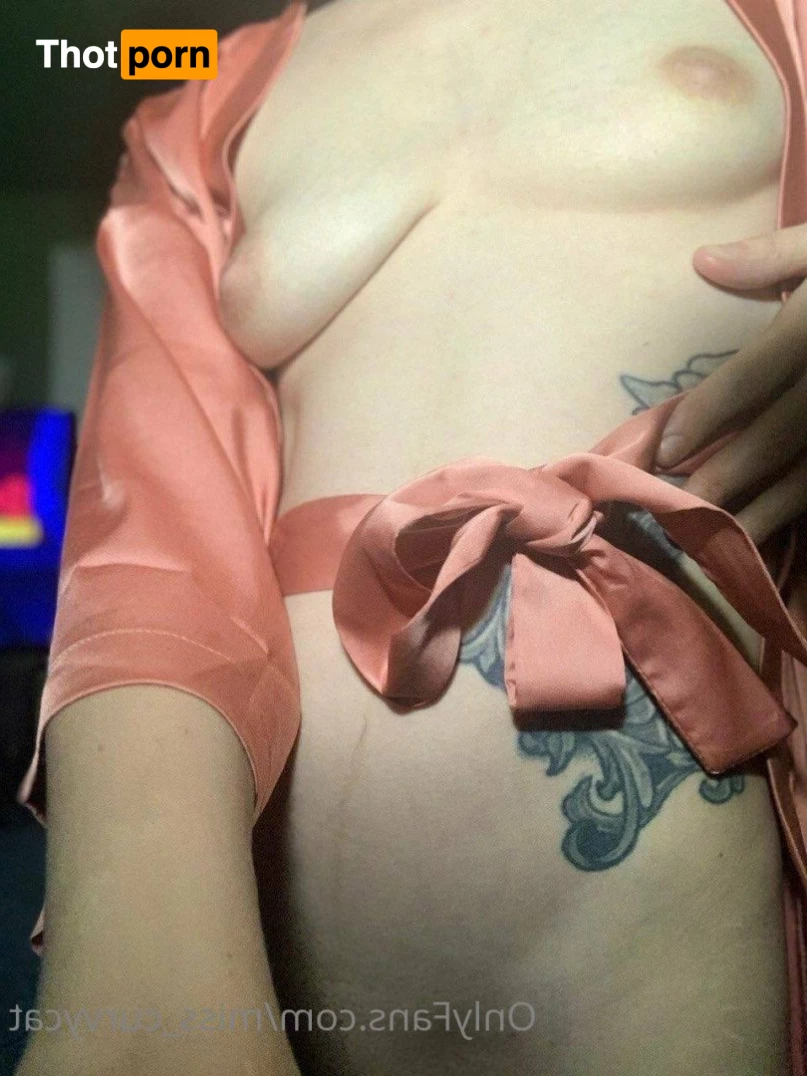 Miss Curvycat 3003313