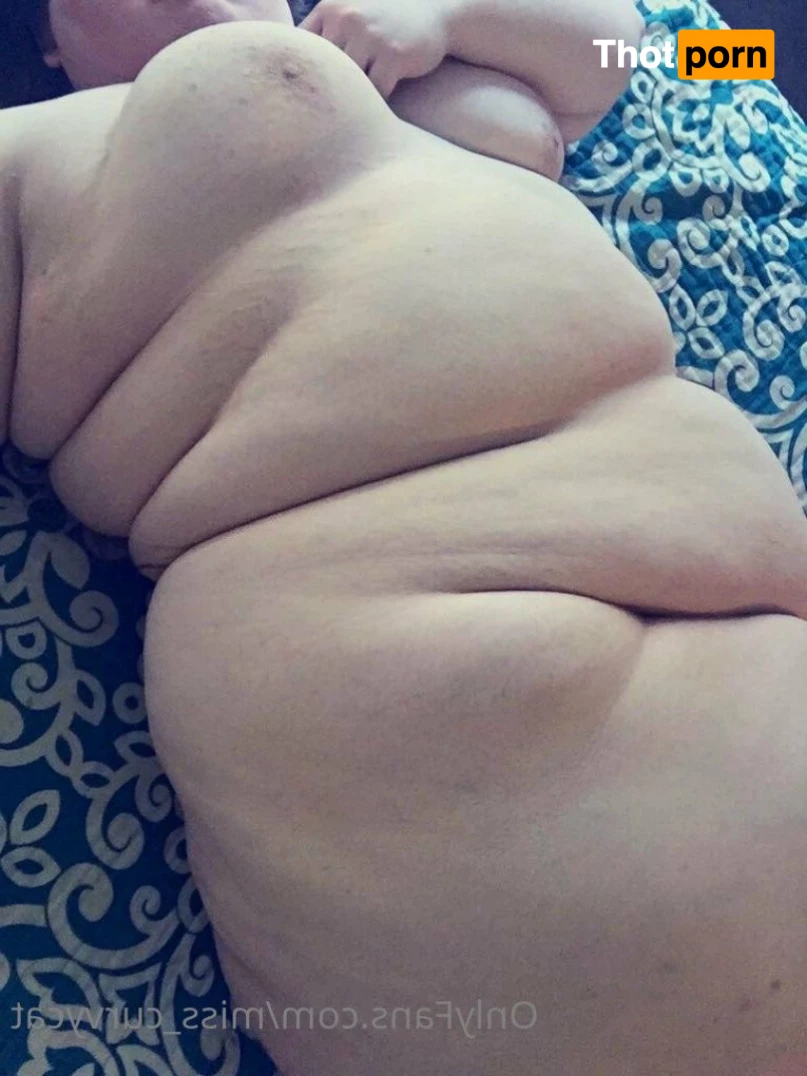 Miss Curvycat 3003342