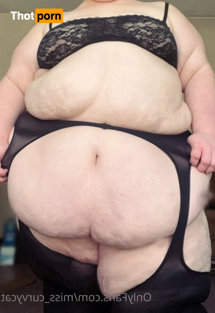 Miss Curvycat 3003413