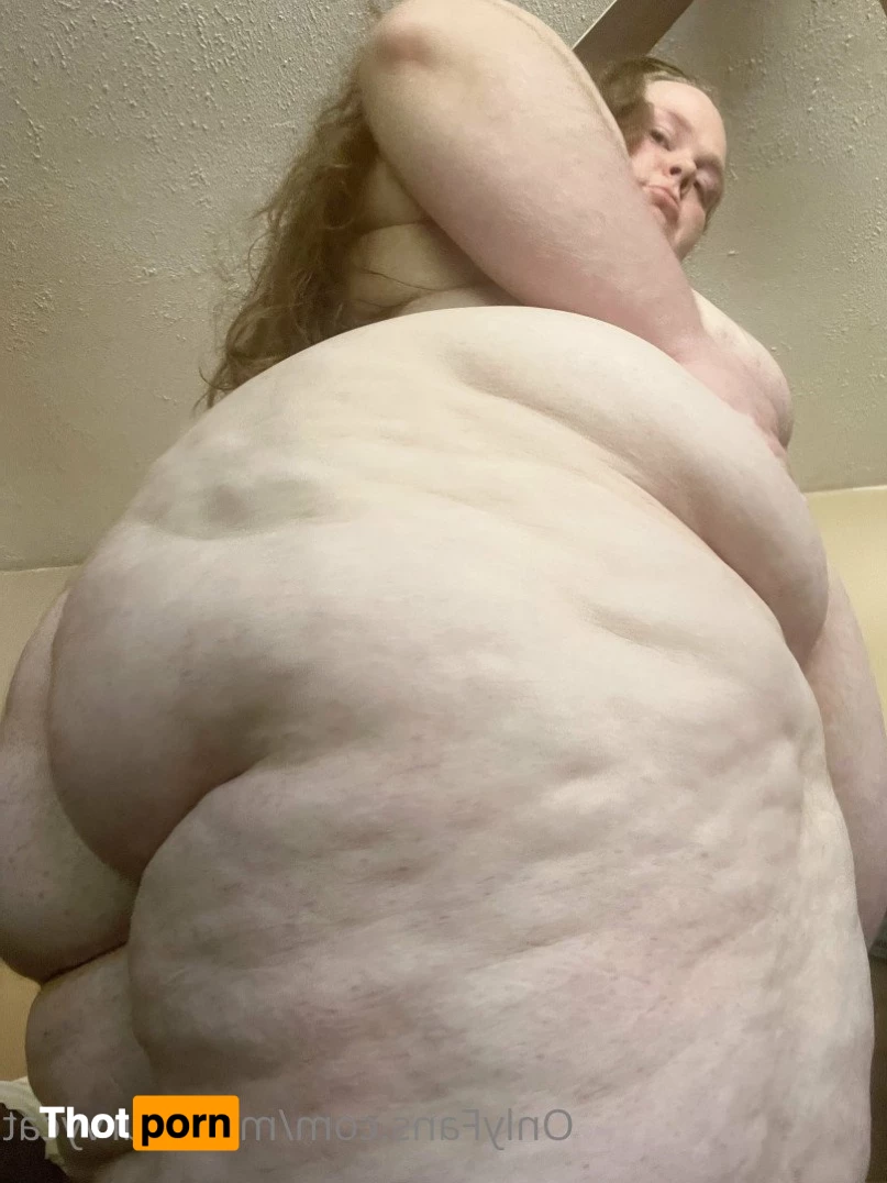 Miss Curvycat 3003487