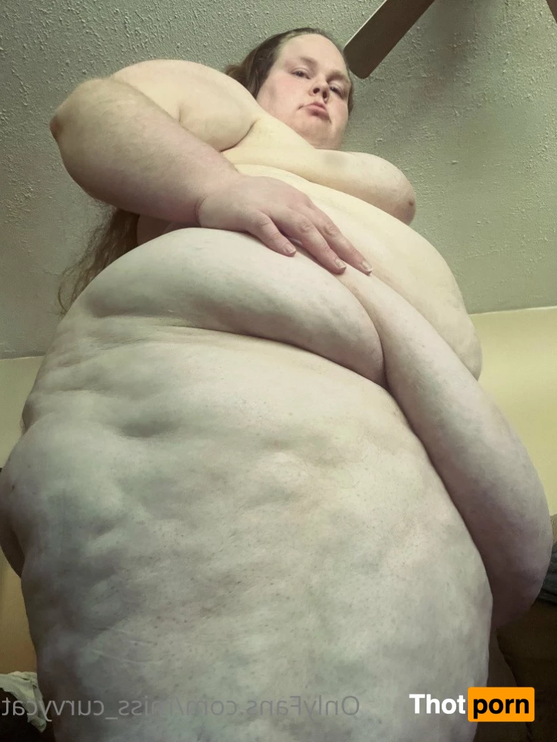 Miss Curvycat 3003490