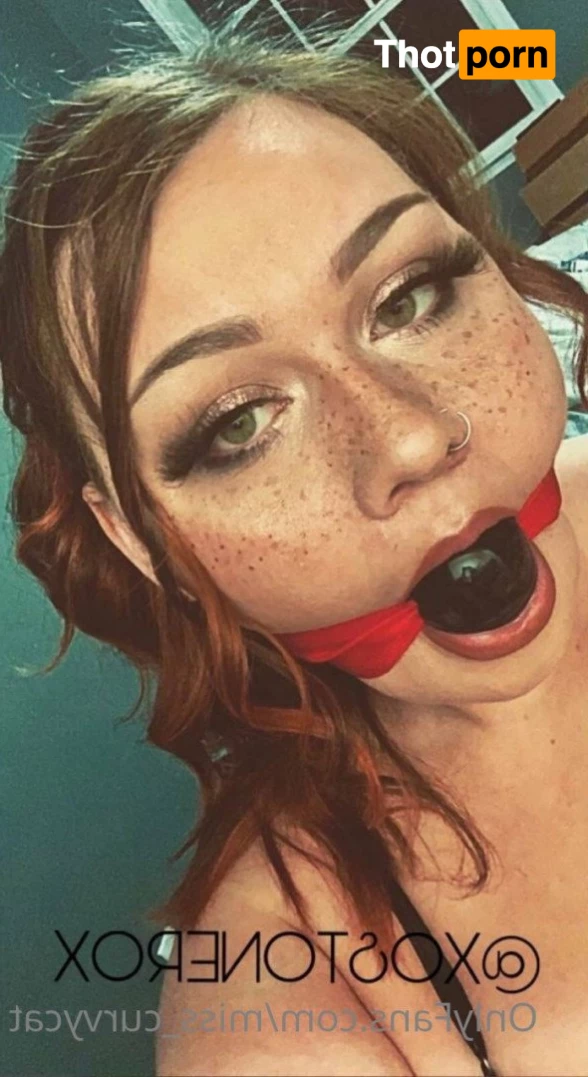 Miss Curvycat 3003517