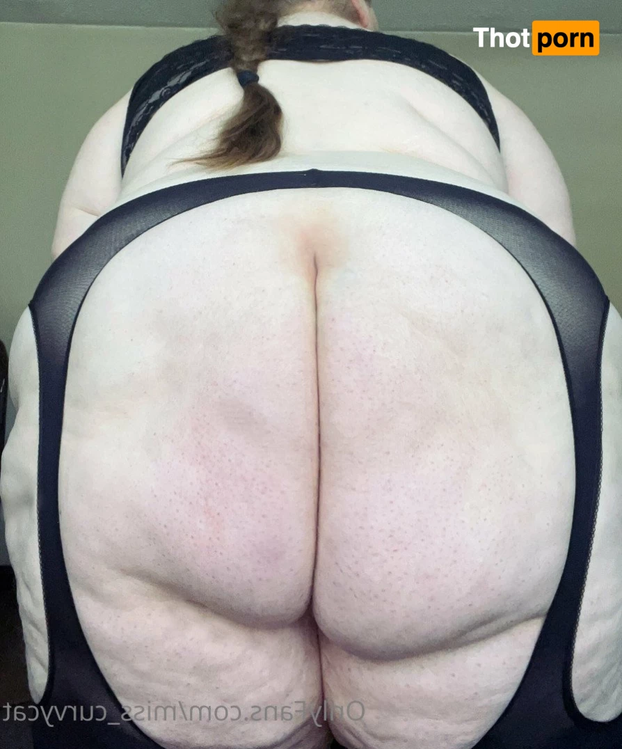 Miss Curvycat 3003565