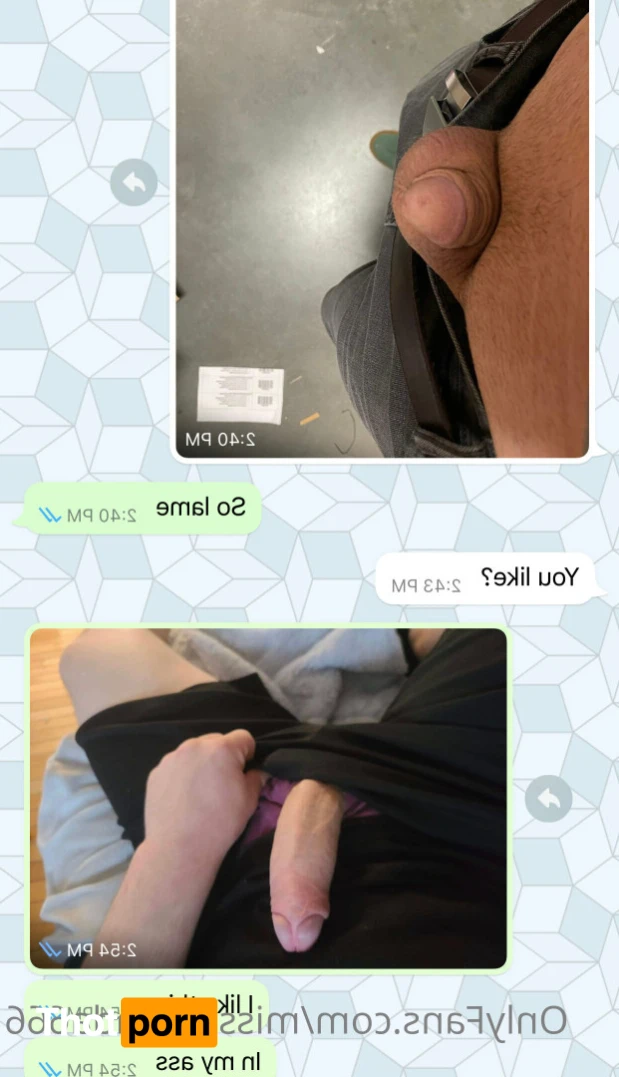 Miss Amanda 14335656