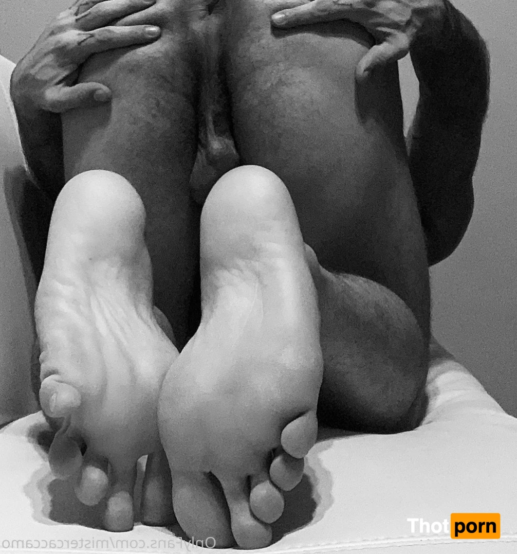 Mistercaccamo 2938494