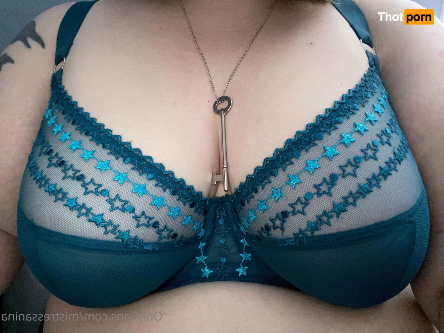 Mistress Anina 3047790