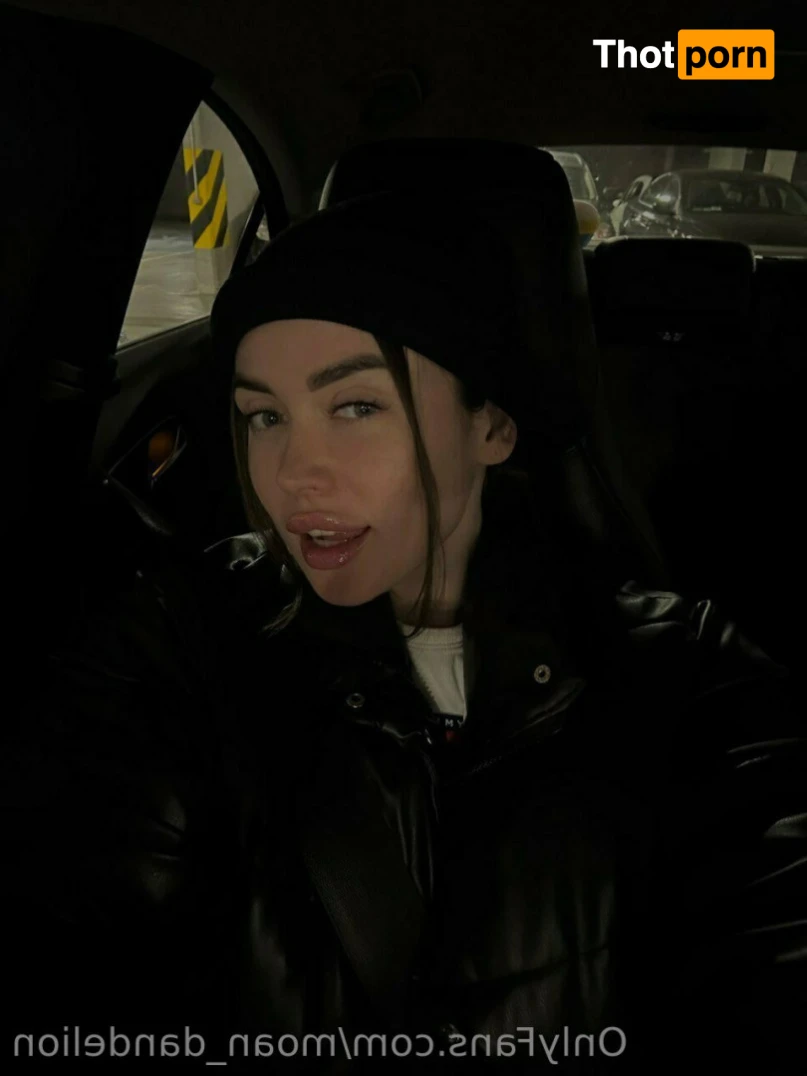 Kitty Dandelion 14260594