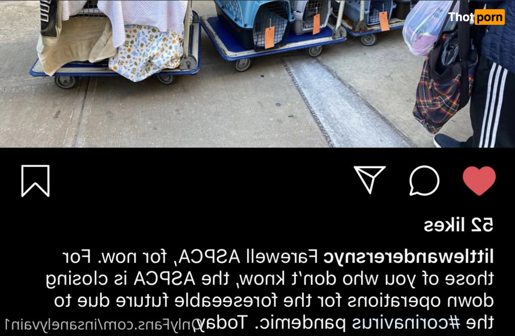 Dara (Moneybirdette) 14810213