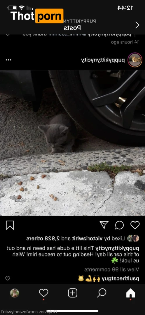 Dara (Moneybirdette) 14831127