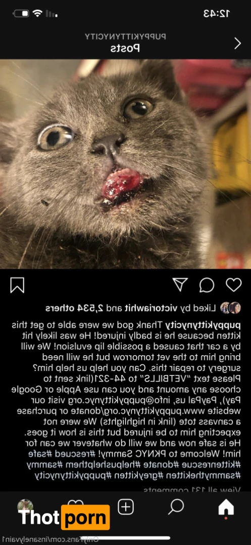 Dara (Moneybirdette) 14848304