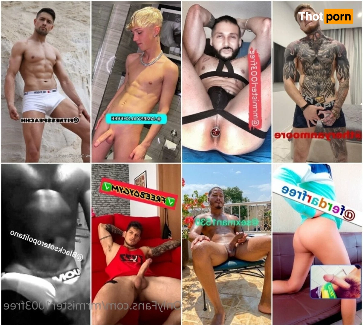 👑 Mr. Yorsh FREE 2879585