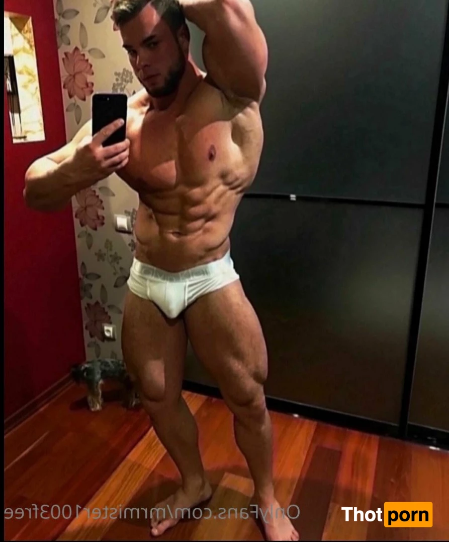 👑 Mr. Yorsh FREE 2879658