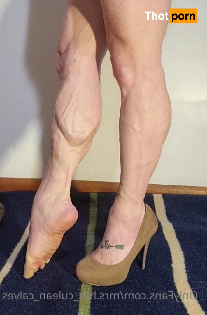 Flex Territory 2876821