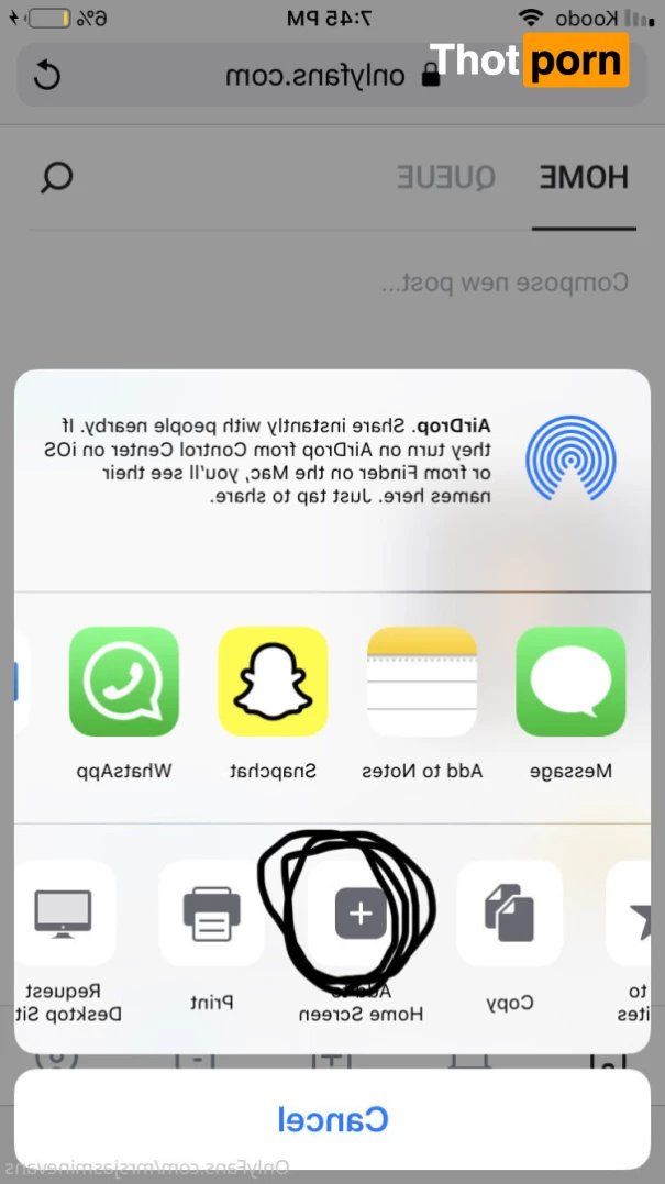 🎀  𝓉𝒾𝓃𝓎 𝒞𝒰𝑀𝒮𝐿𝒰𝒯 🎀 6006885