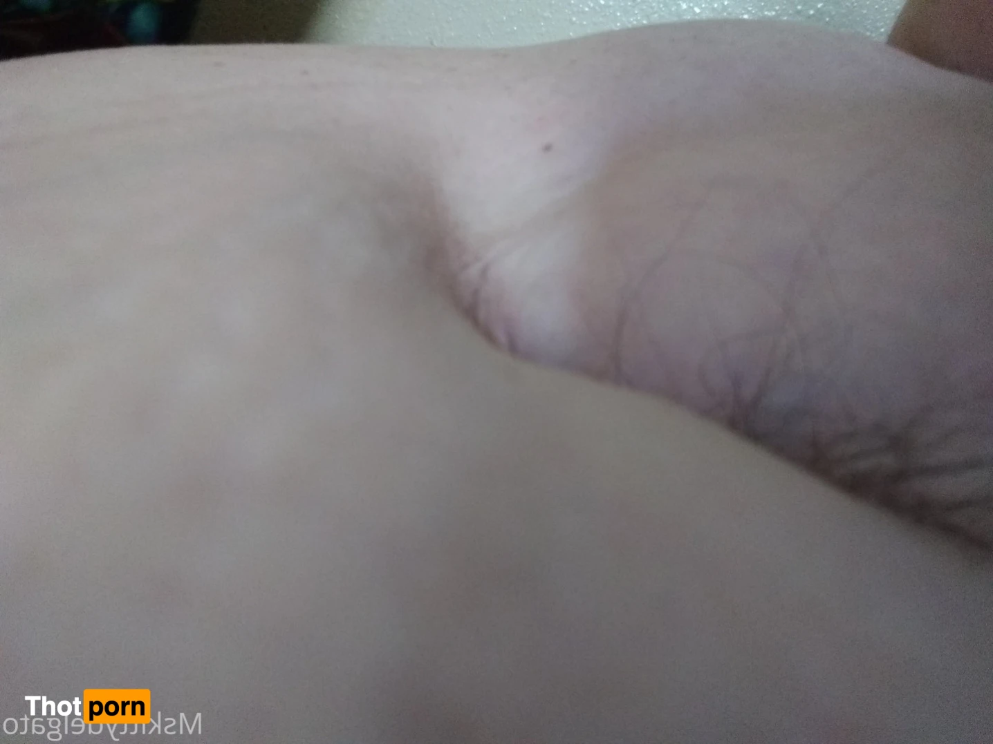 Ms. Kitty Delgato 14079833