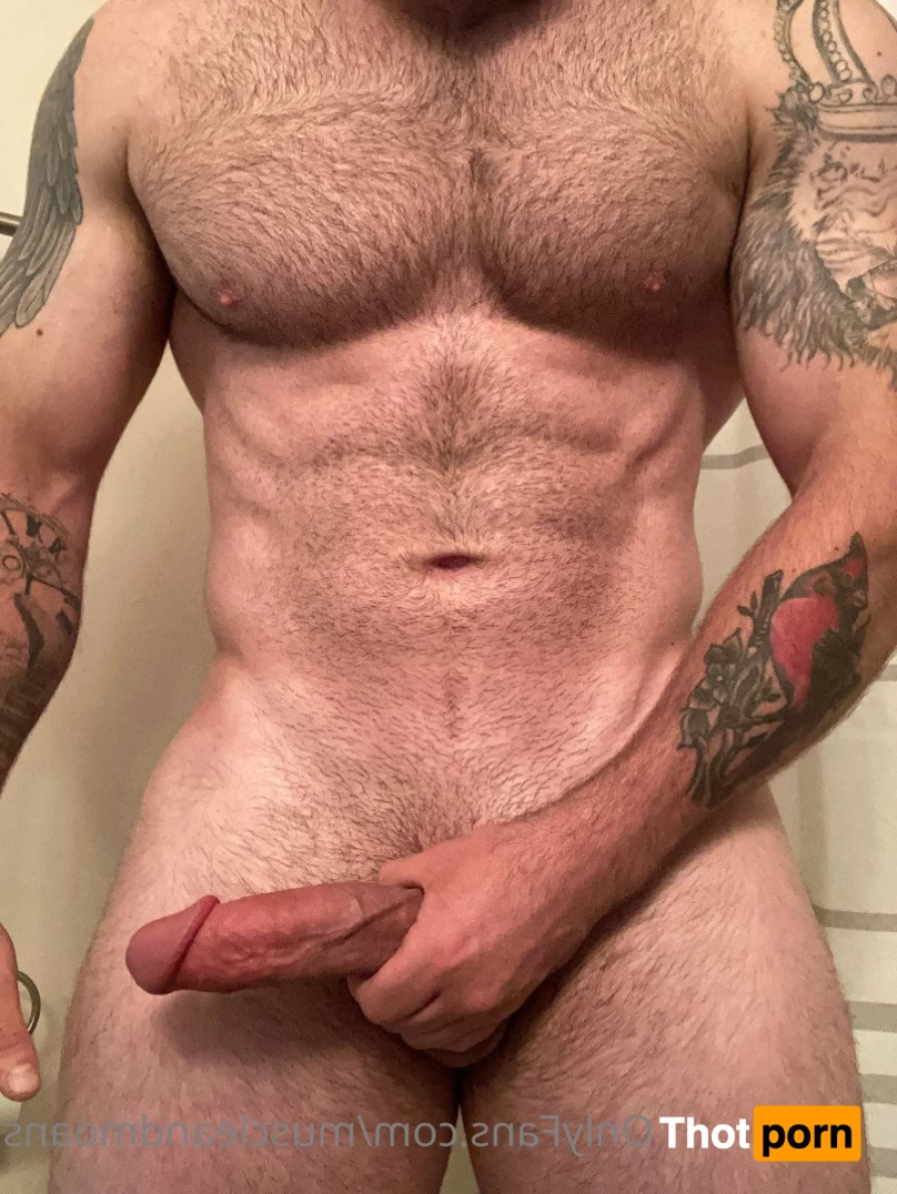 PowerliftingPlow 2873317